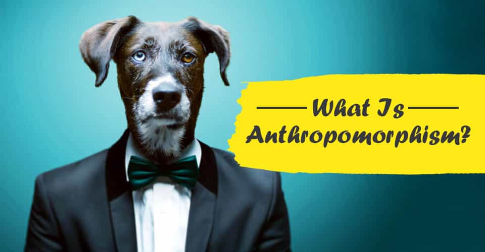 Anthropomorphism