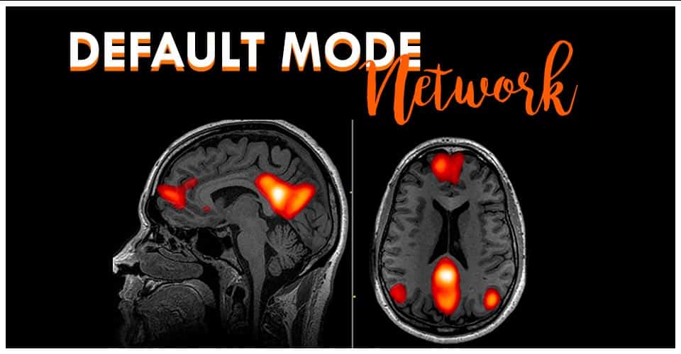 Default Mode Network