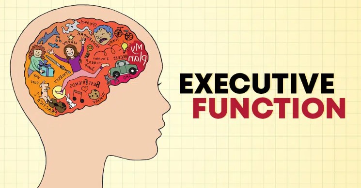 executive function