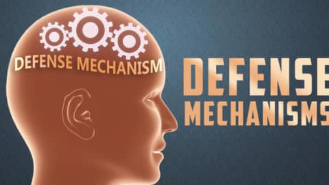 Defense Mechanisms SITE