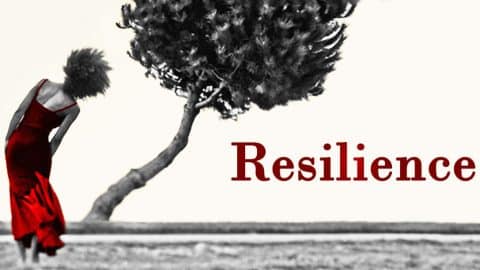 Resilience