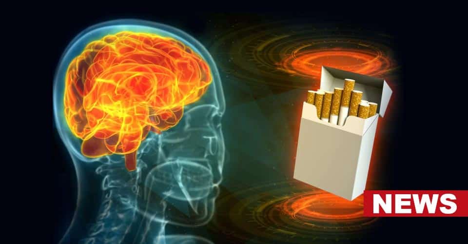 Addiction Remission And The Faulty Brain Circuit: New Study