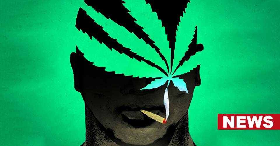 High-Potency Cannabis Use May Cause Severe Mental Disorders: Study