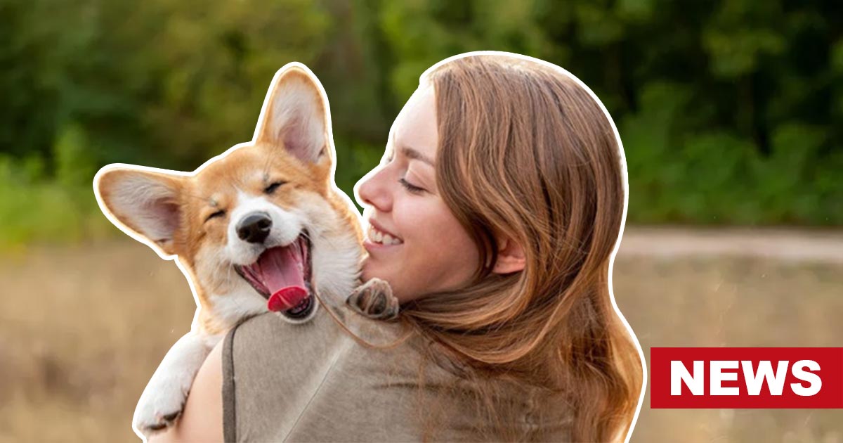 Pawsitively Good Vibes: The Power Of Furry Companions On Mental Health 