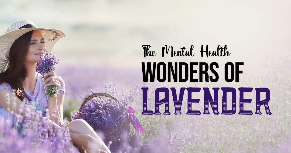 The Lavender Effect: How Lavender Boosts Your Mental Health Naturally 