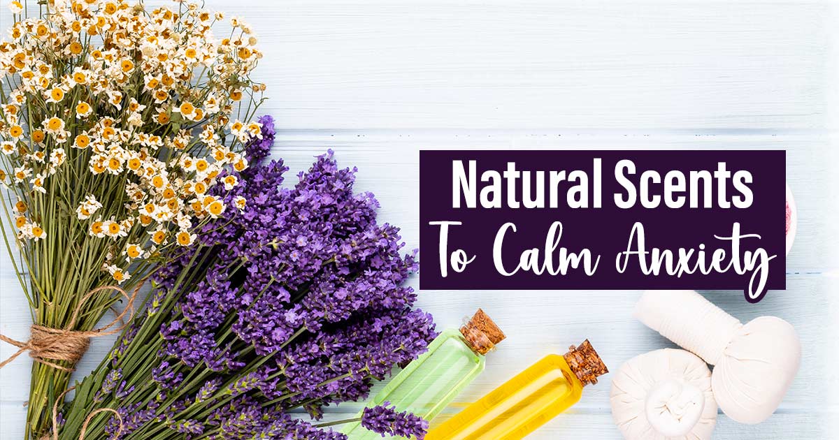 Aromatherapy Allies: The Top 15+ Natural Scents To Soothe Anxiety 