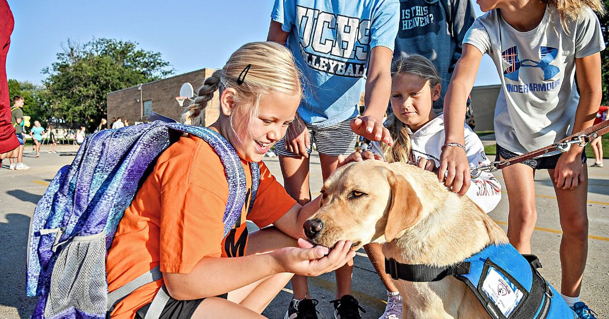 Introduction Of A Therapy Dog: Innovative Mental Health Approach Introduced with New Sioux County K-9