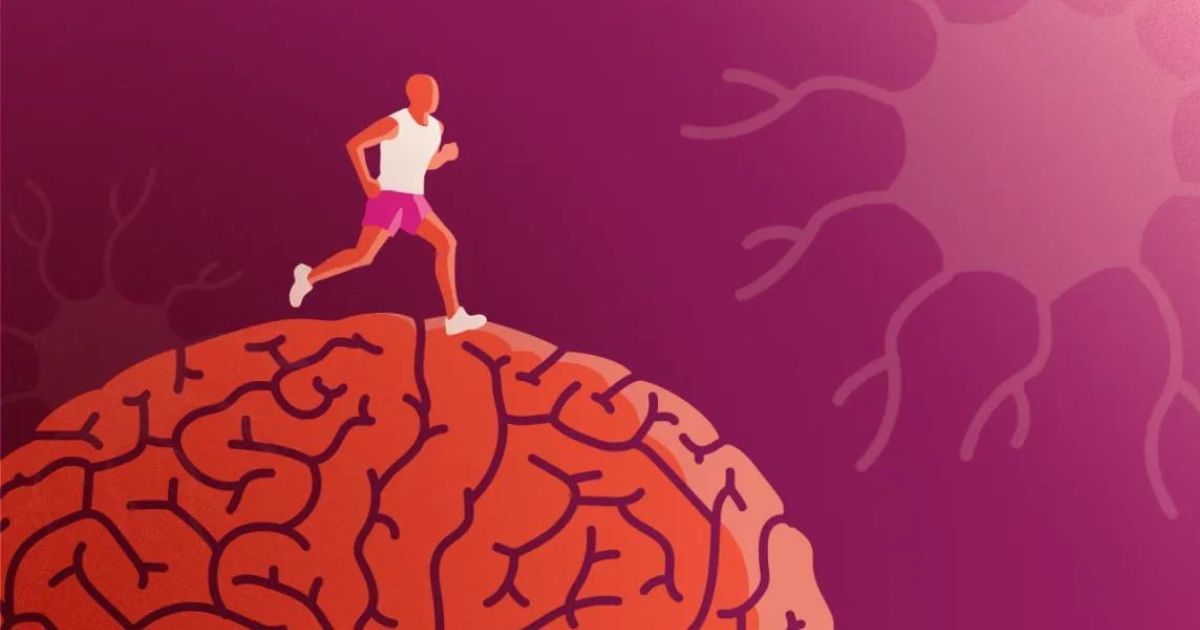 New Research Identifies Three Exercises to Boost Brain Health As You Age