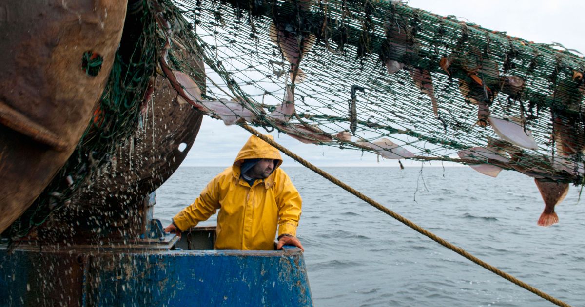 Initiative “Land & Sea Together” Aids Rhode Island’s Stress-Stricken Agriculture, Fishing, and Forestry Industries