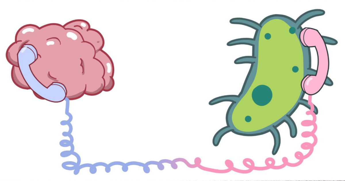 UVA Researchers Uncover Potential Link Between Gut Bacteria and Mental Health