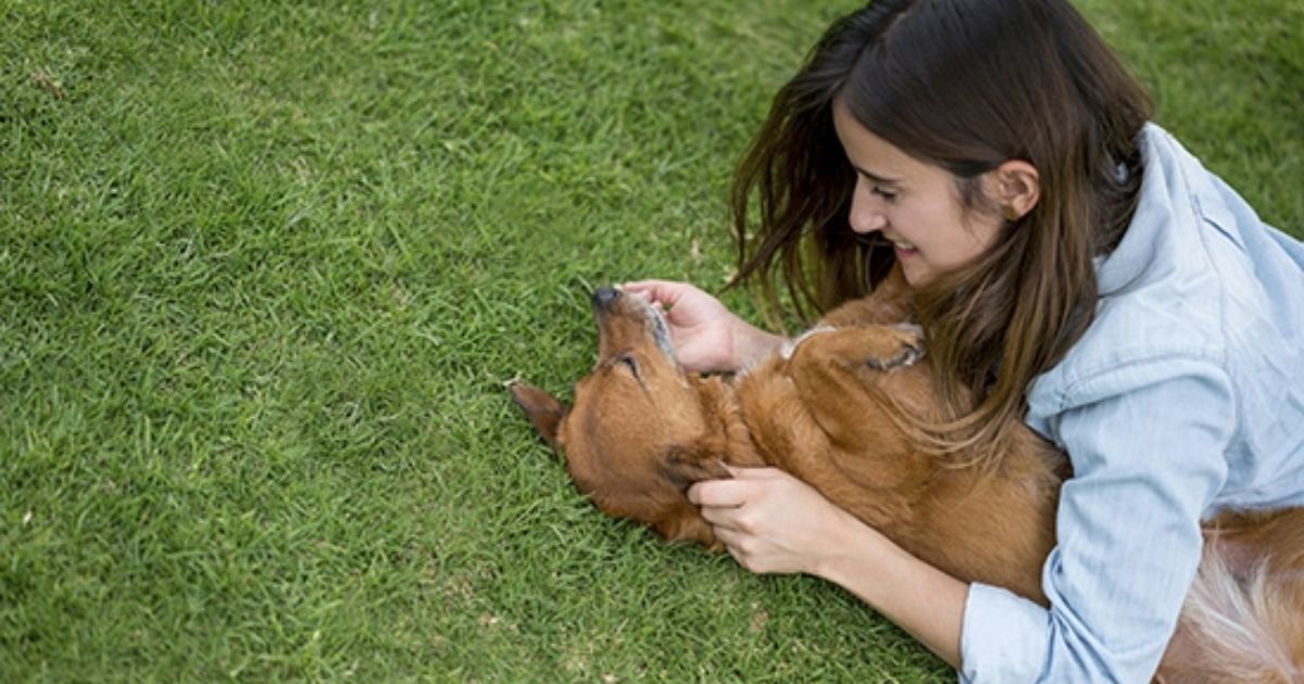 Unveiling the Depths of Owner-Pet Dynamics: Groundbreaking Study Examines Mental Wellbeing and Attachment Styles