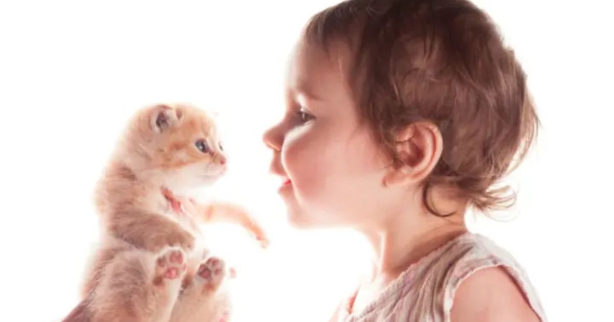 New Study Suggests Link Between Childhood Cat Ownership and Mental Health Disorders