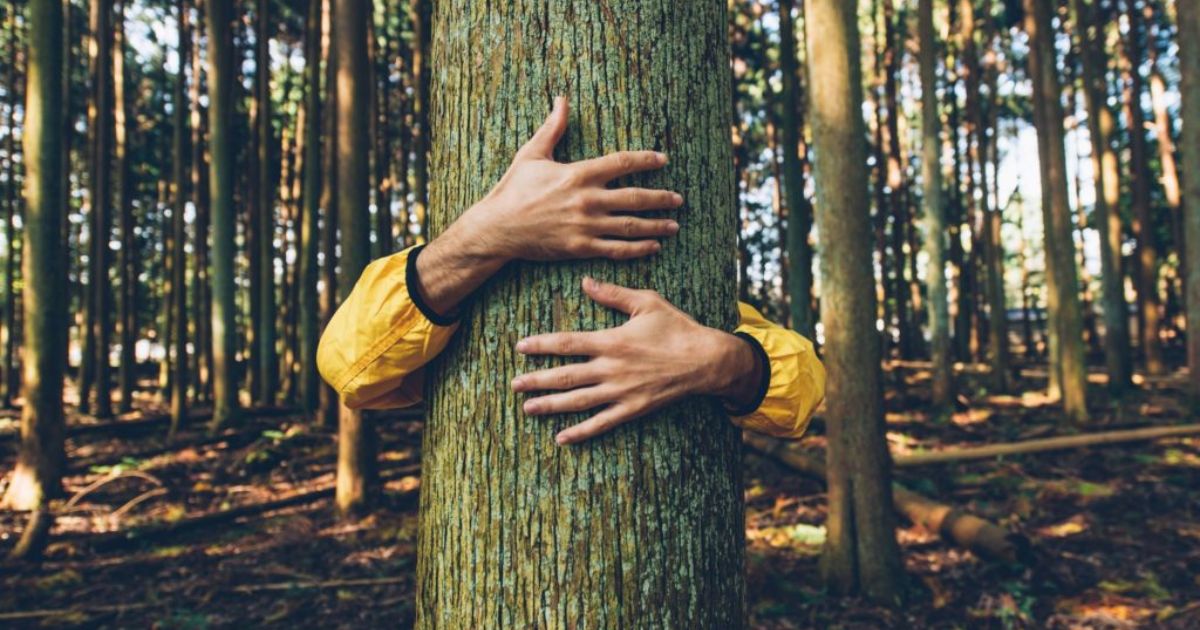 Forest Bathing Shows Promise in Improving Children’s Mental Health