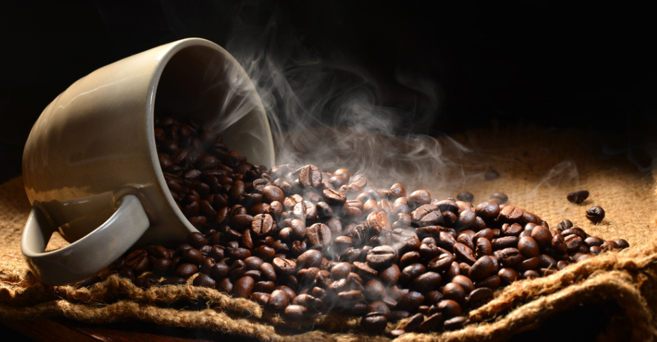 Coffee Polyphenols Mitigate Cognitive Deficits Caused by Stress