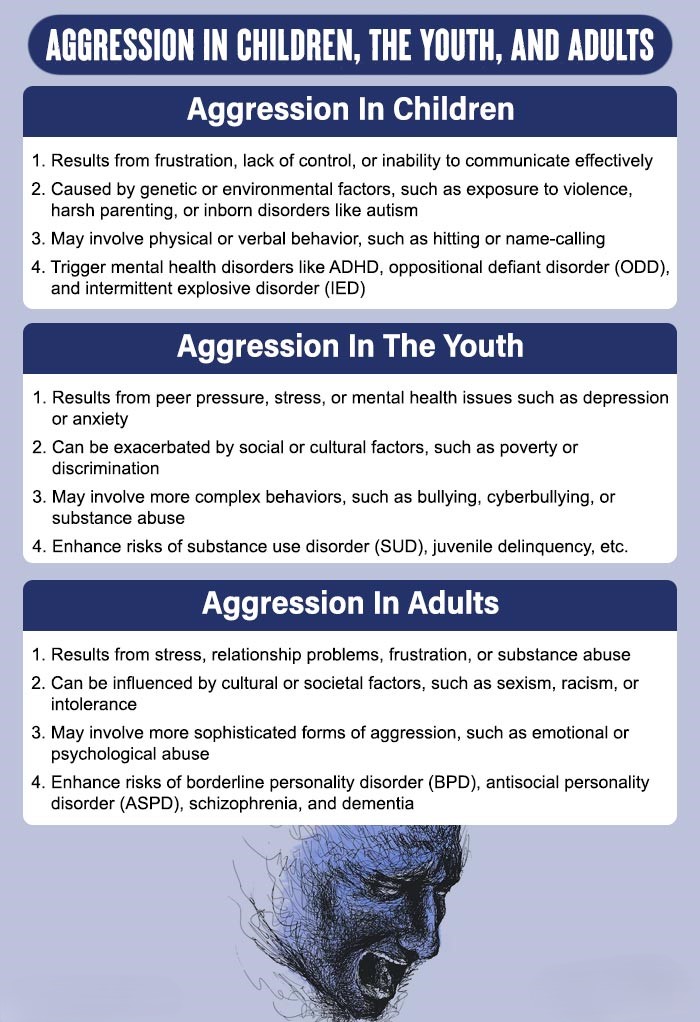 Aggression-In-Children-The-Youth-And-Adults