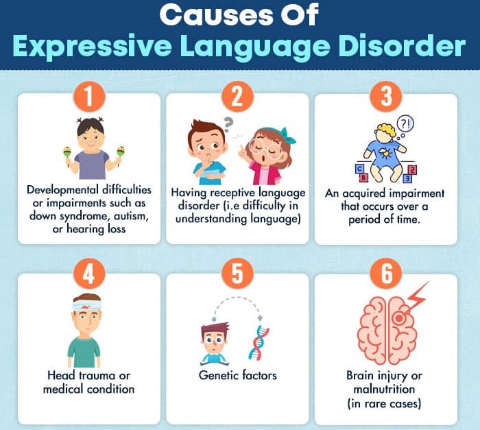 Causes-Of-Expressive-Language-Disorder