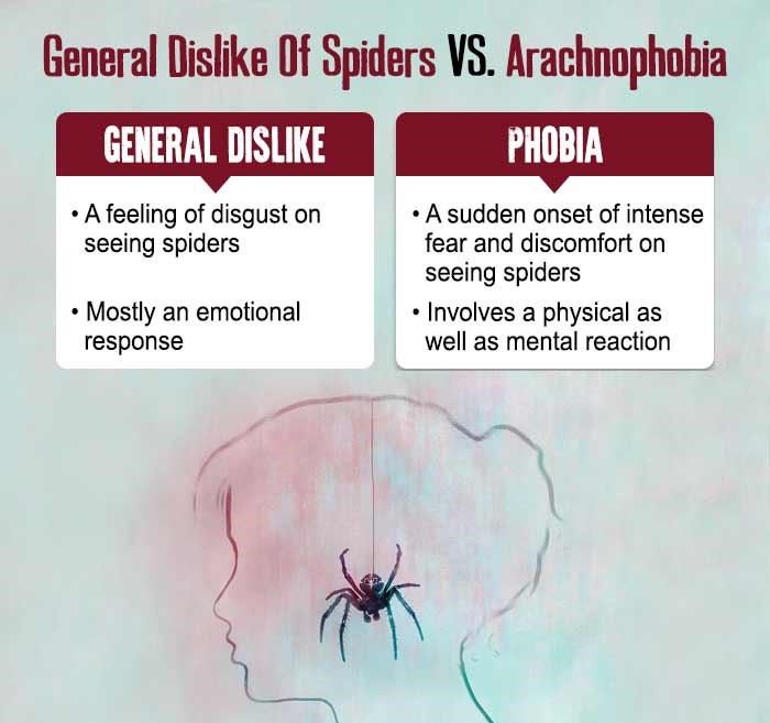 General-Dislike-of-Spiders-vs-Arachnophobia