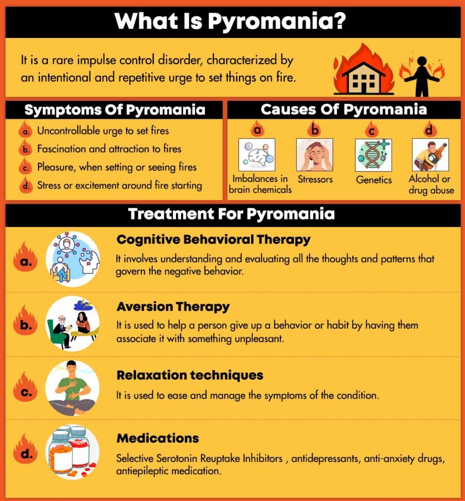 Pyromania infographic 905x1024 1 e1731585453536