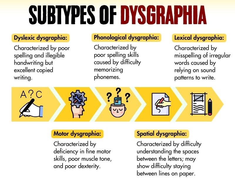 Copy of Evolutionary Psychology - Subtypes Of Dysgraphia