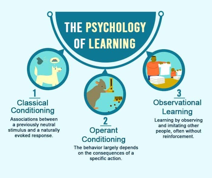 The-psychology-of-learning-1