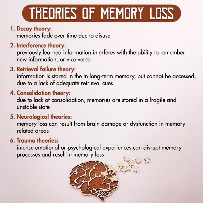 Theories-Of-Memory-Loss