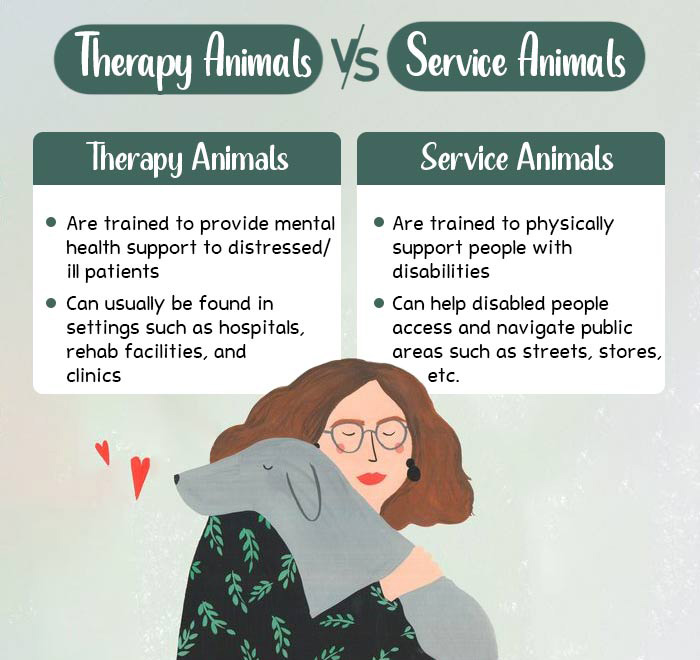 Therapy-Animals-vs-Service-Animals