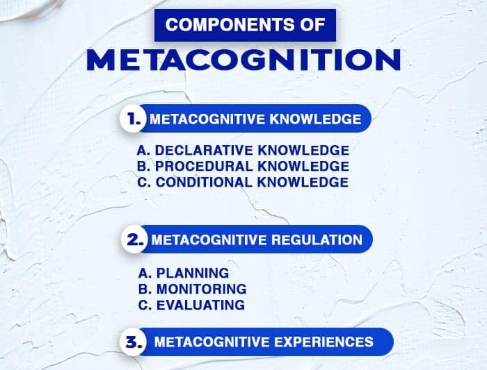 components of metacognition e1731565127671