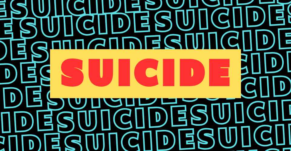 Teach Her a Lesson: Gujarat Man Blames Wife for Suicide in Last Video