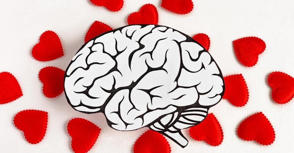 Love Hormones and Brain Chemistry