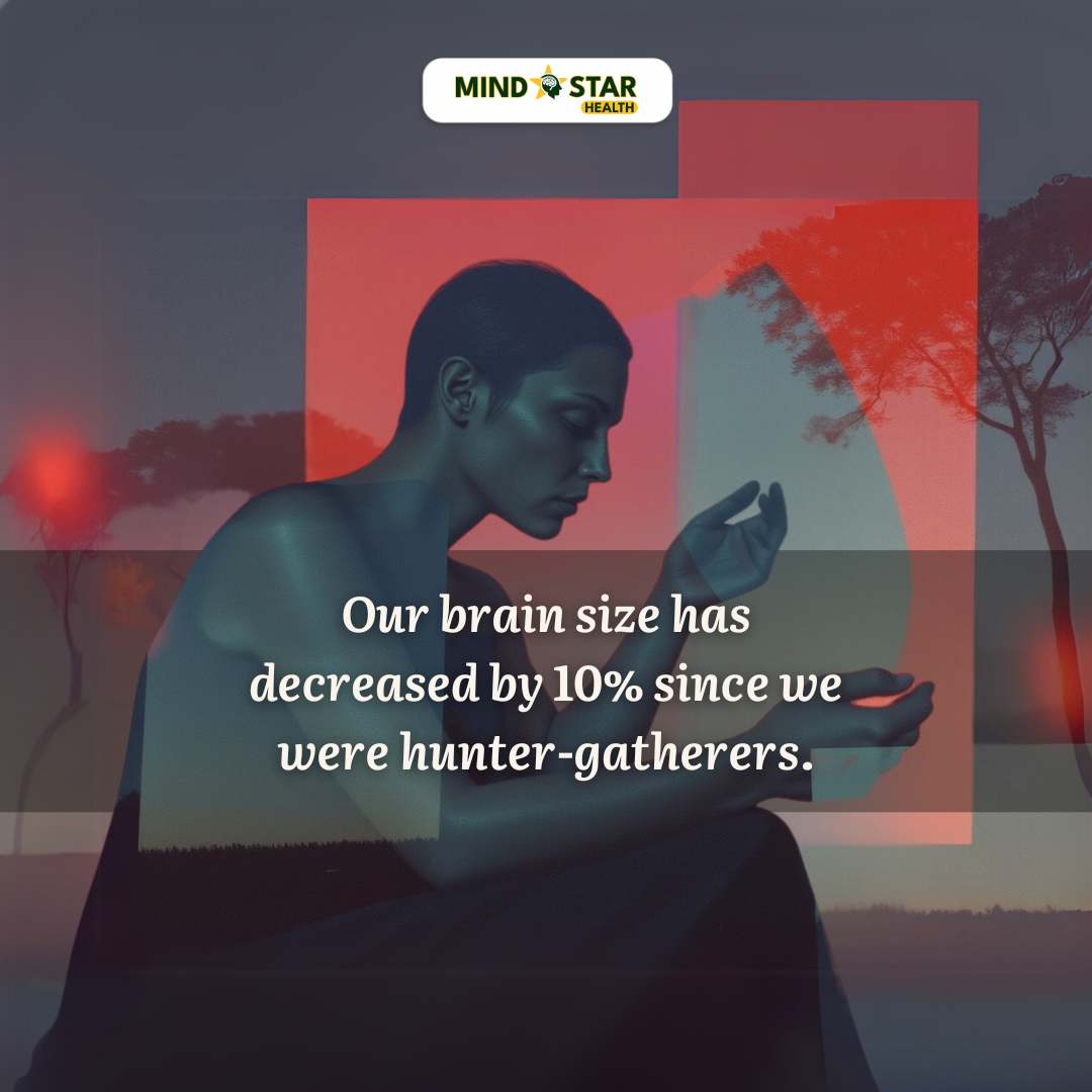 Our brain size has decreased by 10%